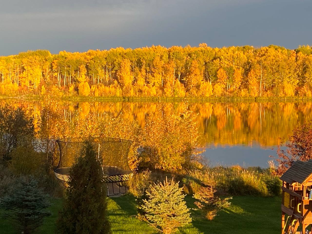 Fall